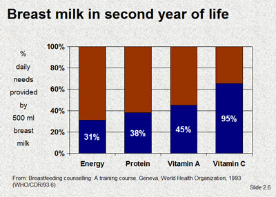 Breast milk in second year of life