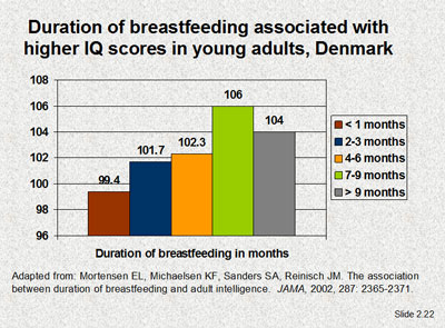 Duration of breastfeeding associated with higher IQ scores in young adults, Denmark