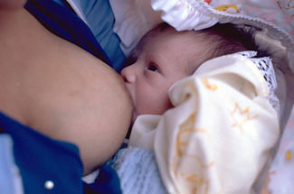 A newborn infant breastfeeds.