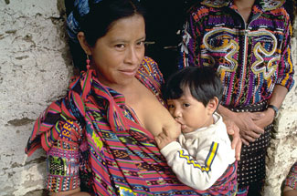 A toddler breastfeeds while sitting on his mother's lap.