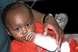 A young baby drinks formula from a bottle.